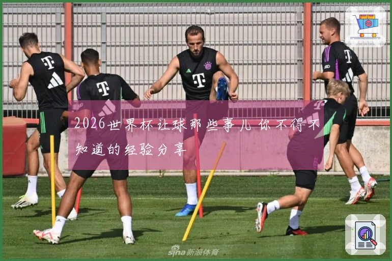 2026世界杯让球那些事儿 你不得不知道的经验分享