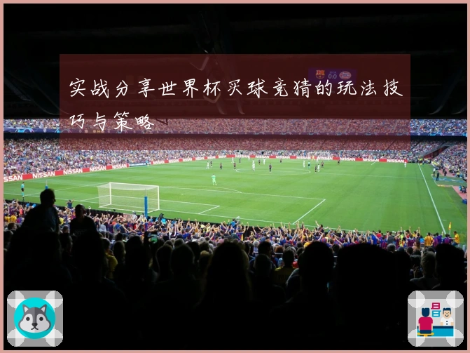 实战分享世界杯买球竞猜的玩法技巧与策略
