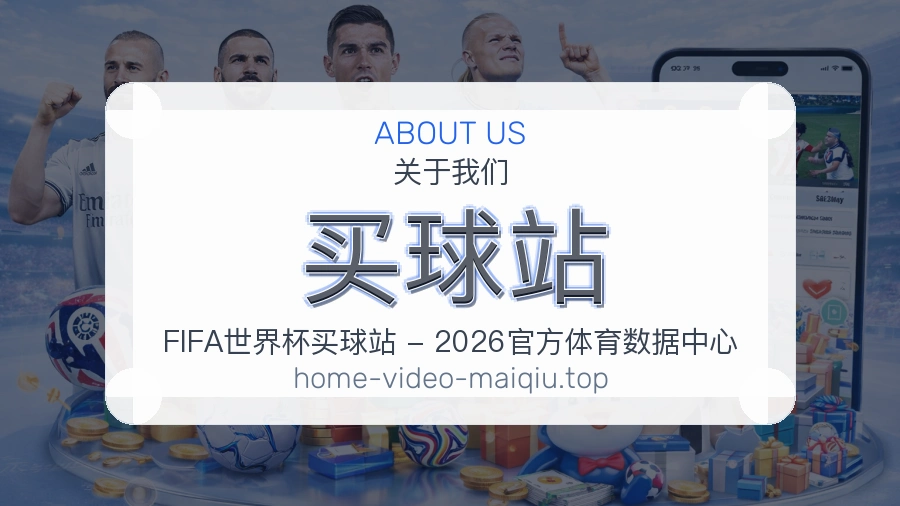 关于 买球站 团队与服务